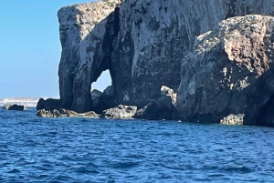 SerenityBoatChartersMalta: Blå lagunen, Comino, Gozo och havsgrottor