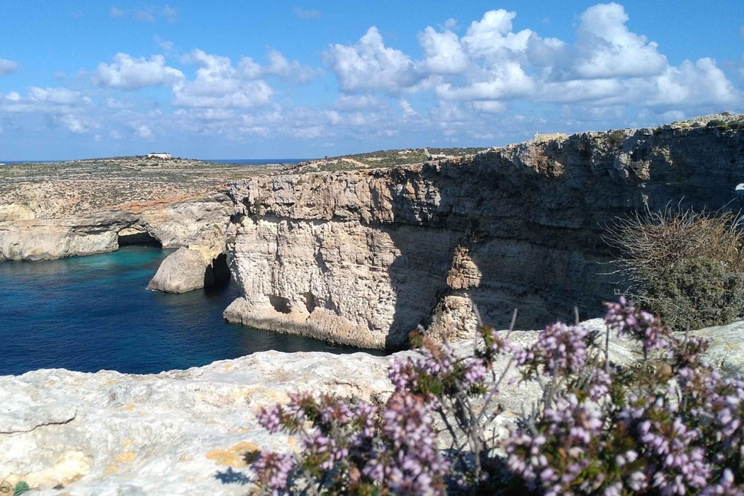 Shore Excursion Tour - Half Day