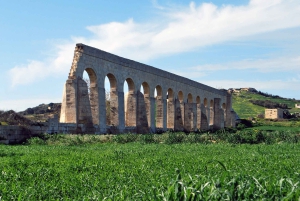 Shore Excursion Tour - Half Day