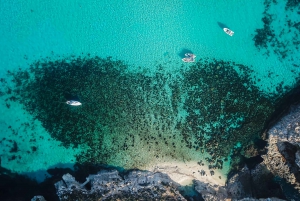 Sliema: Fernandes Gozo and Comino Cruise with Lunch & Drinks