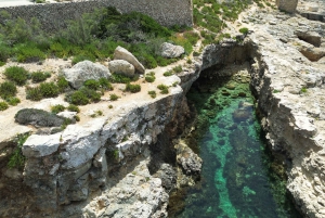 Sliema: Power Boat Trip to Comino & Blue Lagoon