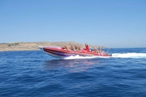 Sliema: Powerboat-tur til Gozo med grotter og ø-stop