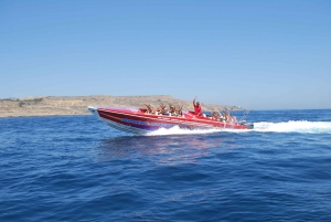 Sliema: Powerboat Trip to Gozo with Caves and Island Stop