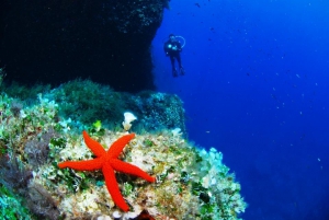 Top 5 Diving Centres in Malta & Gozo