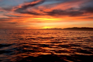 Julian's : Comino Blue Lagoon Sunset Cruise by Speedboat (croisière en bateau rapide au coucher du soleil)