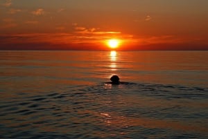 سانت جوليان رحلة غروب الشمس في كومينو بلو لاغون بالقارب السريع