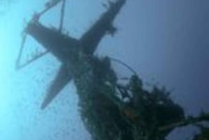 São Julião: Descubra a experiência de mergulho autônomo