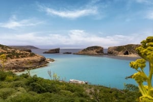 Vanuit Bugibba: Gozo, Comino en Blue Lagoon Eendaags (CMO)