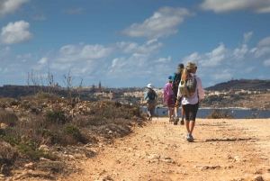 Bahía de San Pablo: Excursión en autobús y barco por Gozo, Comino y San Pablo