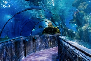St. Paul's Bay: Malta National Aquarium Entry Ticket
