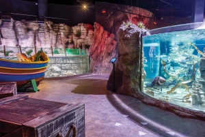 St. Paul's Bay: Malta National Aquarium Entry Ticket
