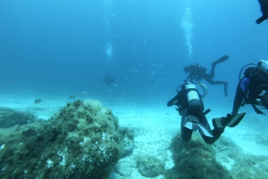 Malta: St. Paul's Bay 1 Day Scuba Diving Course
