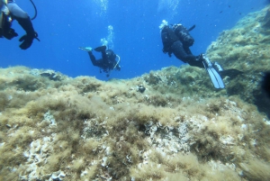Malta: St. Paul's Bay 1 Day Scuba Diving Course