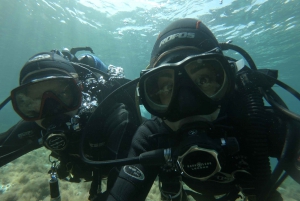 Malta: St. Paul's Bay 1 Day Scuba Diving Course