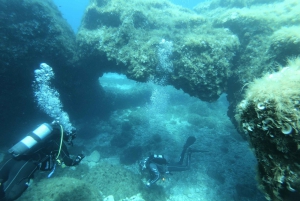 Malta: St. Paul's Bay 1 Day Scuba Diving Course