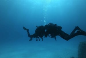 St. Paul's Bay: Scuba Diver Course 1 Day