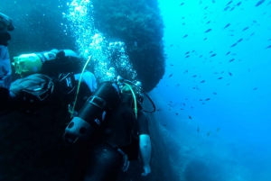 St. Paul's Bay: Scuba Diving Lesson & Guided Excursion