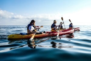 Malta: Guided Kayak Tour with Free Photos Included