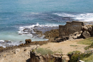 Tangier: 4-Day Jewish Heritage Tour with Accommodation