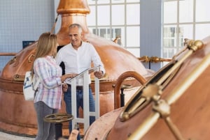 L'expérience de la brasserie et la dégustation de bière, y compris le transport