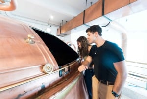 L'expérience de la brasserie et la dégustation de bière, y compris le transport