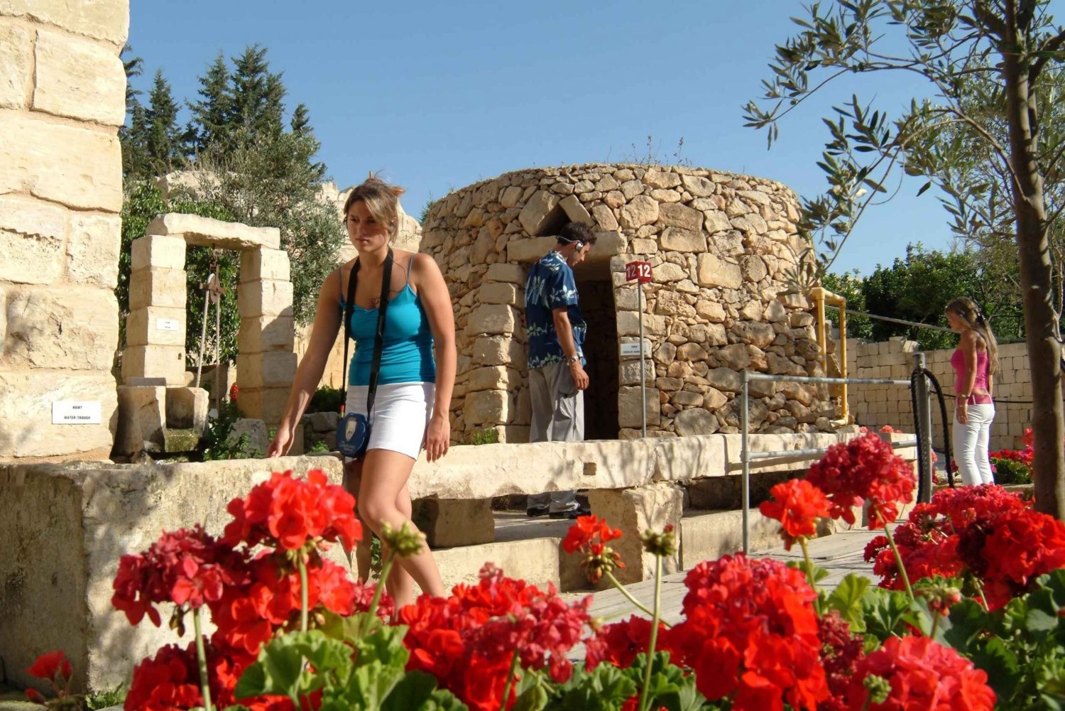 Parque y Jardines del Patrimonio de Piedra Caliza (ticket de entrada)