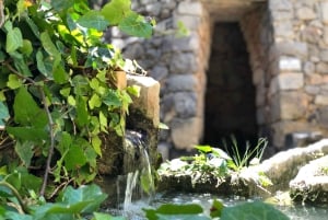 The Limestone Heritage Park and Gardens (inngangsbillett)