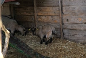 The Limestone Heritage Park and Gardens (inngangsbillett)