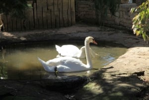 The Limestone Heritage Park and Gardens (inngangsbillett)