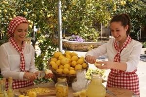 The Limestone Heritage Park and Gardens (inngangsbillett)