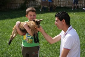 The Limestone Heritage Park and Gardens (inngangsbillett)