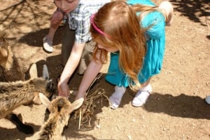 The Limestone Heritage Park and Gardens (inngangsbillett)