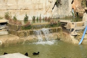 The Limestone Heritage Park and Gardens (inngangsbillett)