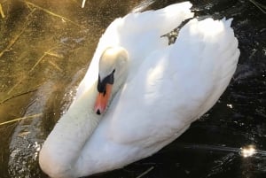 The Limestone Heritage Park and Gardens (inngangsbillett)