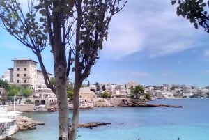 Top Malta Tour (kaupunki, basaari, historia, kulttuuri, luonto, meri)