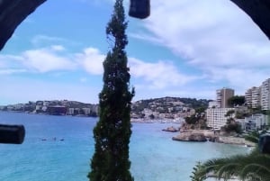 Top Malta Tour (ville, bazar, histoire, culture, nature, mer)