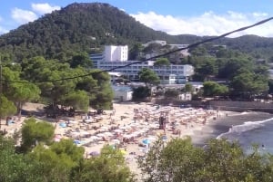 Top Malta Tour (by, basar, historie, kultur, natur, hav)