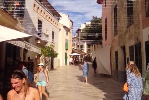 Top Malta Tour (by, basar, historie, kultur, natur, hav)