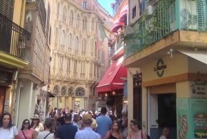 Top Malta Tour (by, basar, historie, kultur, natur, hav)