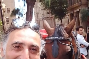 Top Malta Tour (by, basar, historie, kultur, natur, hav)