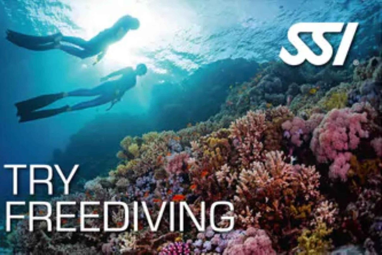 Malte: Try Freediving SSI - Baptême d'apnée avec un moniteur en français