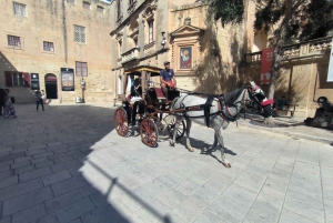 Maltas höjdpunkter: Forntida underverk, städer och kustens charm