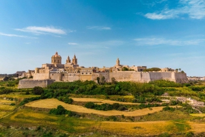 Piccolo gruppo: Tour de La Valletta e dei punti salienti del centro