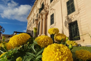 Valletta: Stadsvandring i en liten grupp