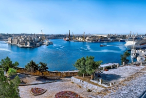Valletta Full-Day Guided Tour in French w/ Lunch & Transport