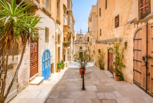 Valletta Full-Day Guided Tour in French w/ Lunch & Transport