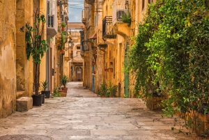 Valletta: Passeio a pé guiado com visita opcional à catedral