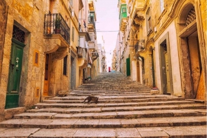 Valletta : Excursão a pé pelos destaques e joias escondidas
