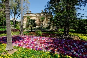 バレッタ：マルタの高貴な家と宮殿のプライベート ツアー