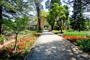 バレッタ：マルタの高貴な家と宮殿のプライベート ツアー